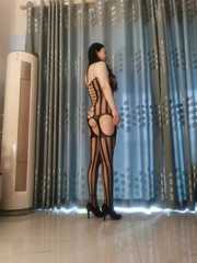 广州白云区小东北老虎